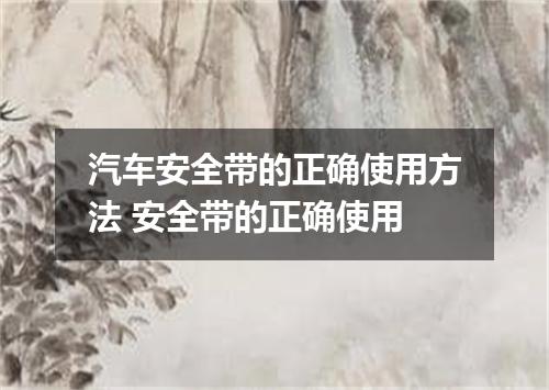 汽车安全带的正确使用方法 安全带的正确使用