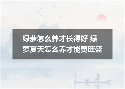 绿萝怎么养才长得好 绿萝夏天怎么养才能更旺盛