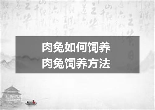 肉兔如何饲养 肉兔饲养方法
