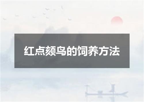红点颏鸟的饲养方法