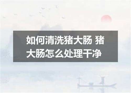 如何清洗猪大肠 猪大肠怎么处理干净