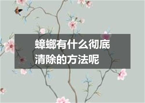 蟑螂有什么彻底清除的方法呢