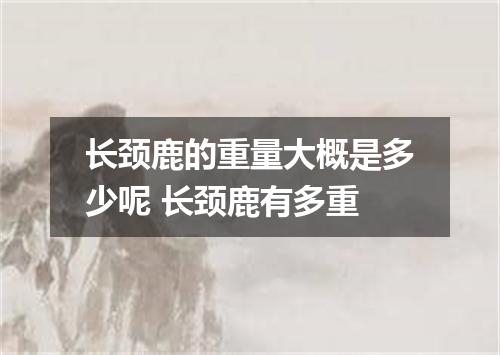 长颈鹿的重量大概是多少呢 长颈鹿有多重