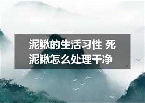泥鳅的生活习性 死泥鳅怎么处理干净