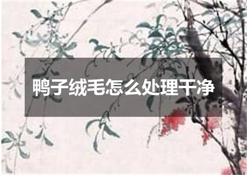 鸭子绒毛怎么处理干净