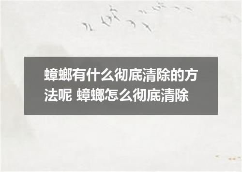 蟑螂有什么彻底清除的方法呢 蟑螂怎么彻底清除