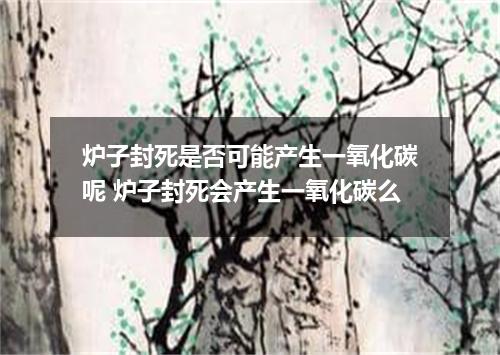 炉子封死是否可能产生一氧化碳呢 炉子封死会产生一氧化碳么