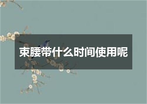 束腰带什么时间使用呢