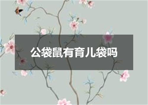 公袋鼠有育儿袋吗