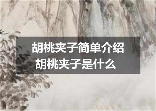胡桃夹子简单介绍 胡桃夹子是什么