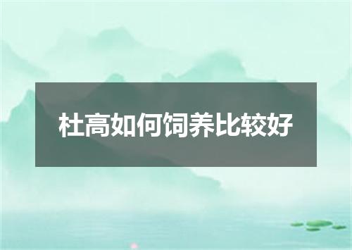 杜高如何饲养比较好