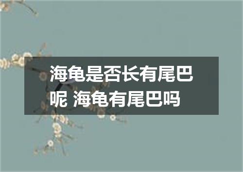 海龟是否长有尾巴呢 海龟有尾巴吗