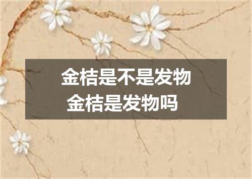 金桔是不是发物 金桔是发物吗