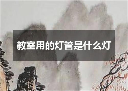 教室用的灯管是什么灯