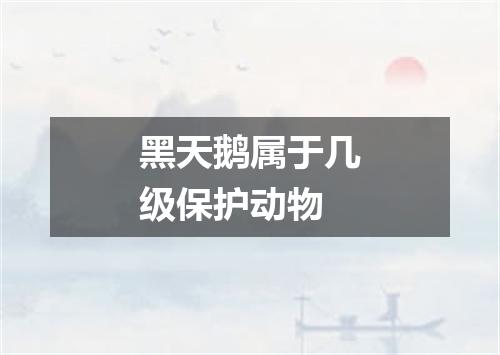 黑天鹅属于几级保护动物