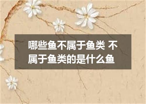哪些鱼不属于鱼类 不属于鱼类的是什么鱼
