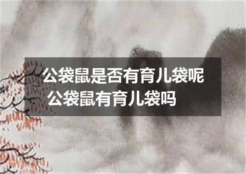 公袋鼠是否有育儿袋呢 公袋鼠有育儿袋吗