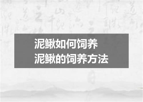 泥鳅如何饲养 泥鳅的饲养方法