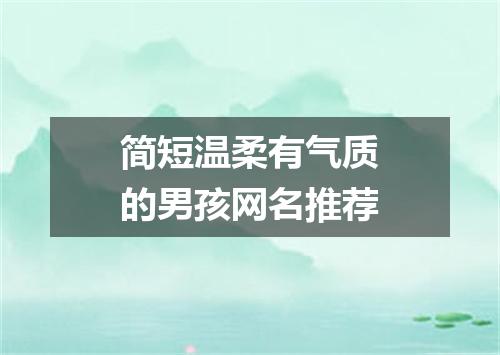 简短温柔有气质的男孩网名推荐