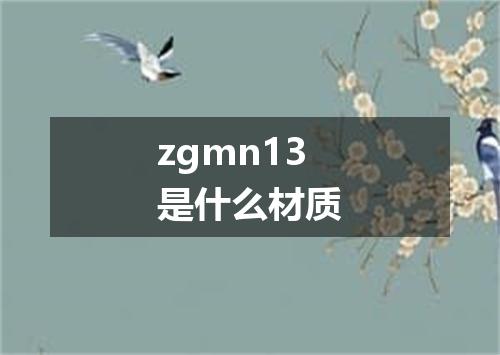 zgmn13是什么材质