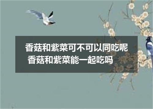 香菇和紫菜可不可以同吃呢 香菇和紫菜能一起吃吗