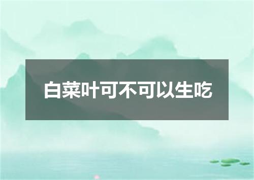 白菜叶可不可以生吃