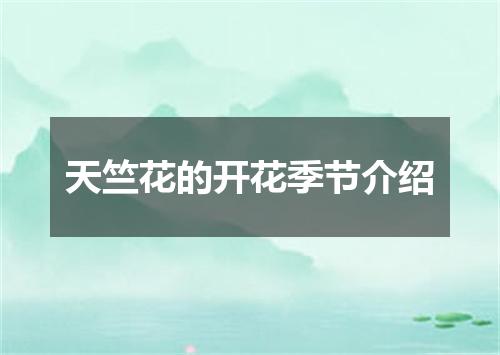 天竺花的开花季节介绍