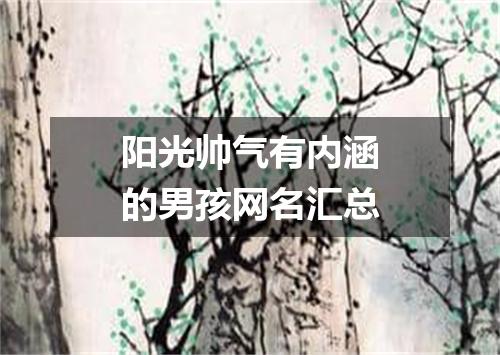 阳光帅气有内涵的男孩网名汇总