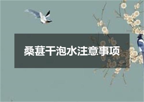 桑葚干泡水注意事项