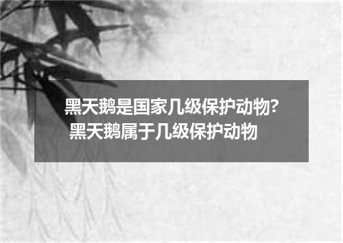 黑天鹅是国家几级保护动物? 黑天鹅属于几级保护动物