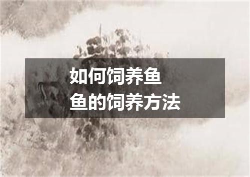如何饲养鱼 鱼的饲养方法