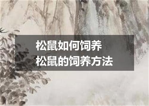 松鼠如何饲养 松鼠的饲养方法