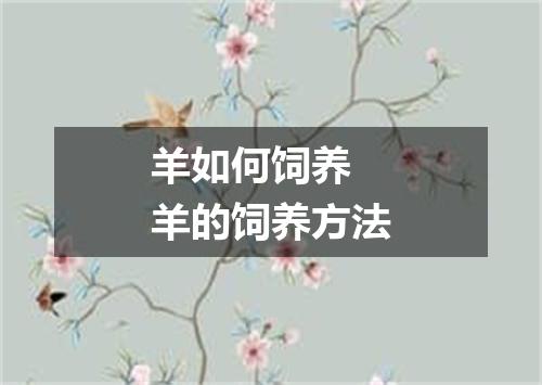 羊如何饲养 羊的饲养方法