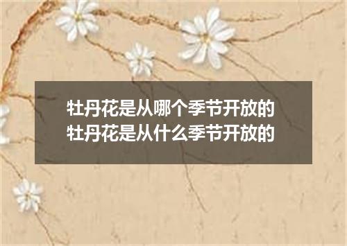 牡丹花是从哪个季节开放的 牡丹花是从什么季节开放的