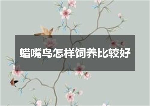 蜡嘴鸟怎样饲养比较好