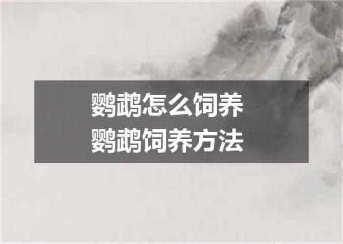 鹦鹉怎么饲养 鹦鹉饲养方法