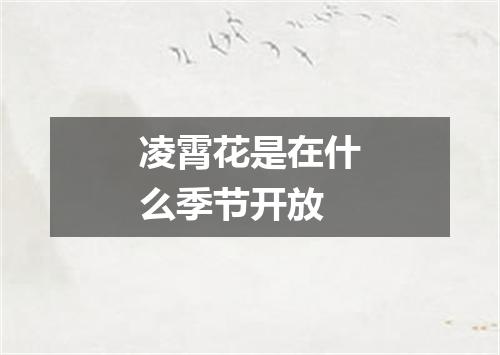 凌霄花是在什么季节开放