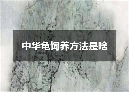 中华龟饲养方法是啥