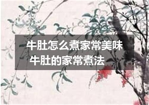 牛肚怎么煮家常美味 牛肚的家常煮法