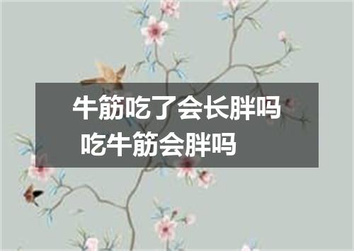 牛筋吃了会长胖吗 吃牛筋会胖吗