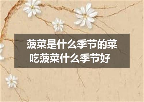 菠菜是什么季节的菜 吃菠菜什么季节好