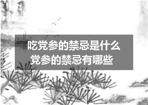 吃党参的禁忌是什么 党参的禁忌有哪些