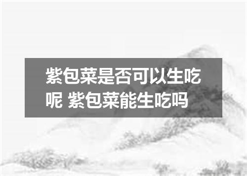 紫包菜是否可以生吃呢 紫包菜能生吃吗