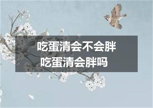 吃蛋清会不会胖 吃蛋清会胖吗