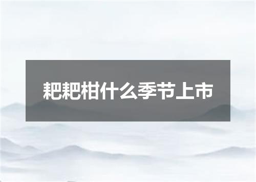 耙耙柑什么季节上市