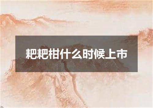 耙耙柑什么时候上市