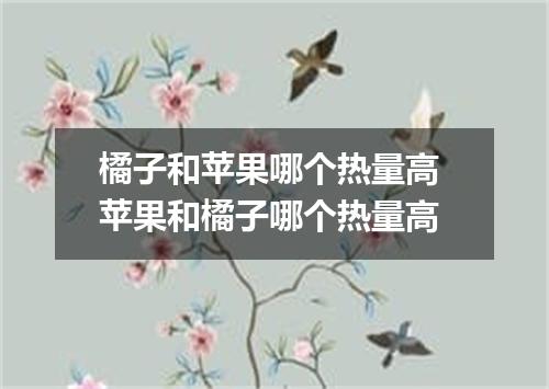 橘子和苹果哪个热量高 苹果和橘子哪个热量高