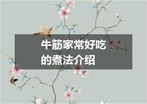 牛筋家常好吃的煮法介绍