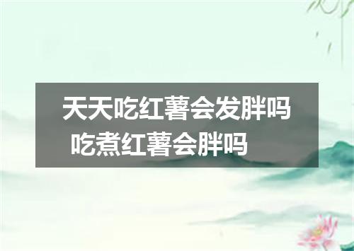 天天吃红薯会发胖吗 吃煮红薯会胖吗