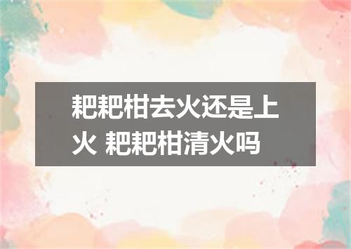 耙耙柑去火还是上火 耙耙柑清火吗